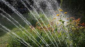 sprinkler